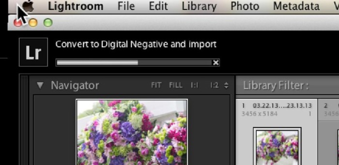 importing 100 gigs of images from a...
