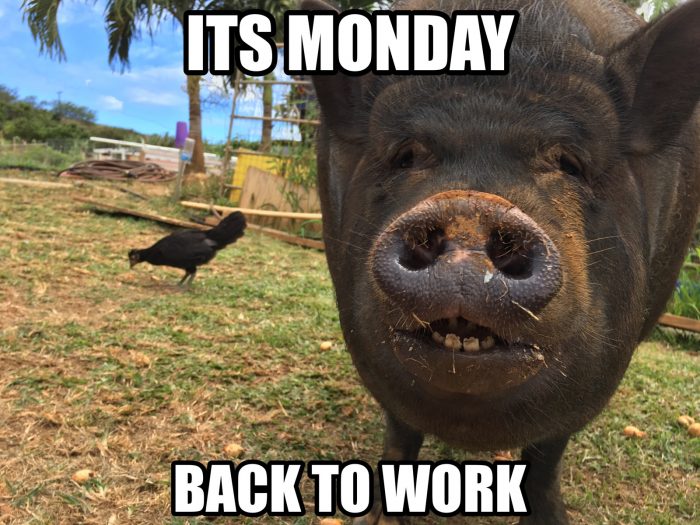 It's Monday..... #Monday