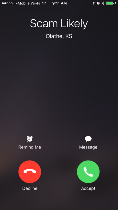I should answer these calls for fun...